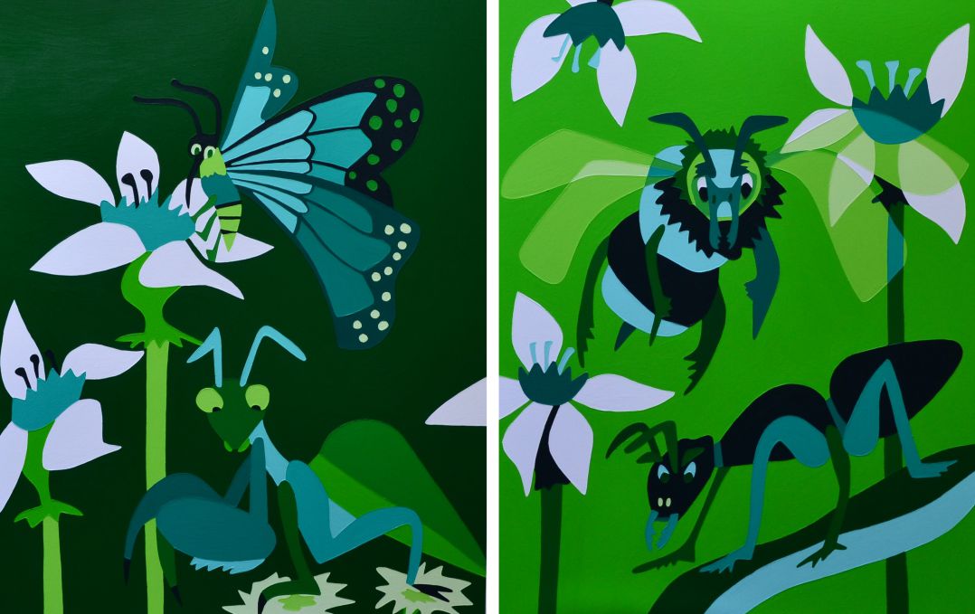 INSECTS - Proyecto Bio - Gonzalo Álvarez